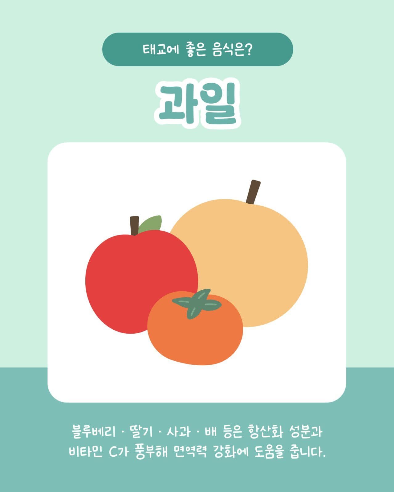 태교에 좋은 정보 모음집