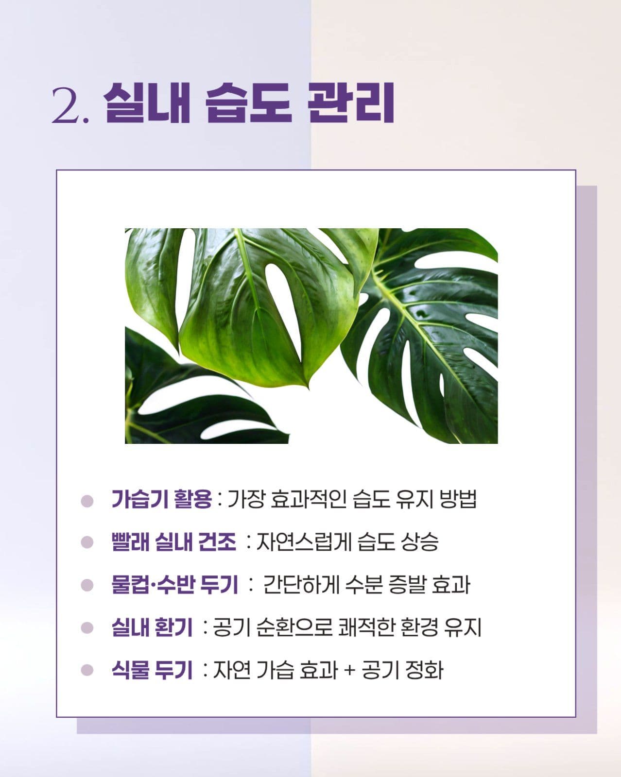 환절기 겨울피부 건강관리 카드뉴스
