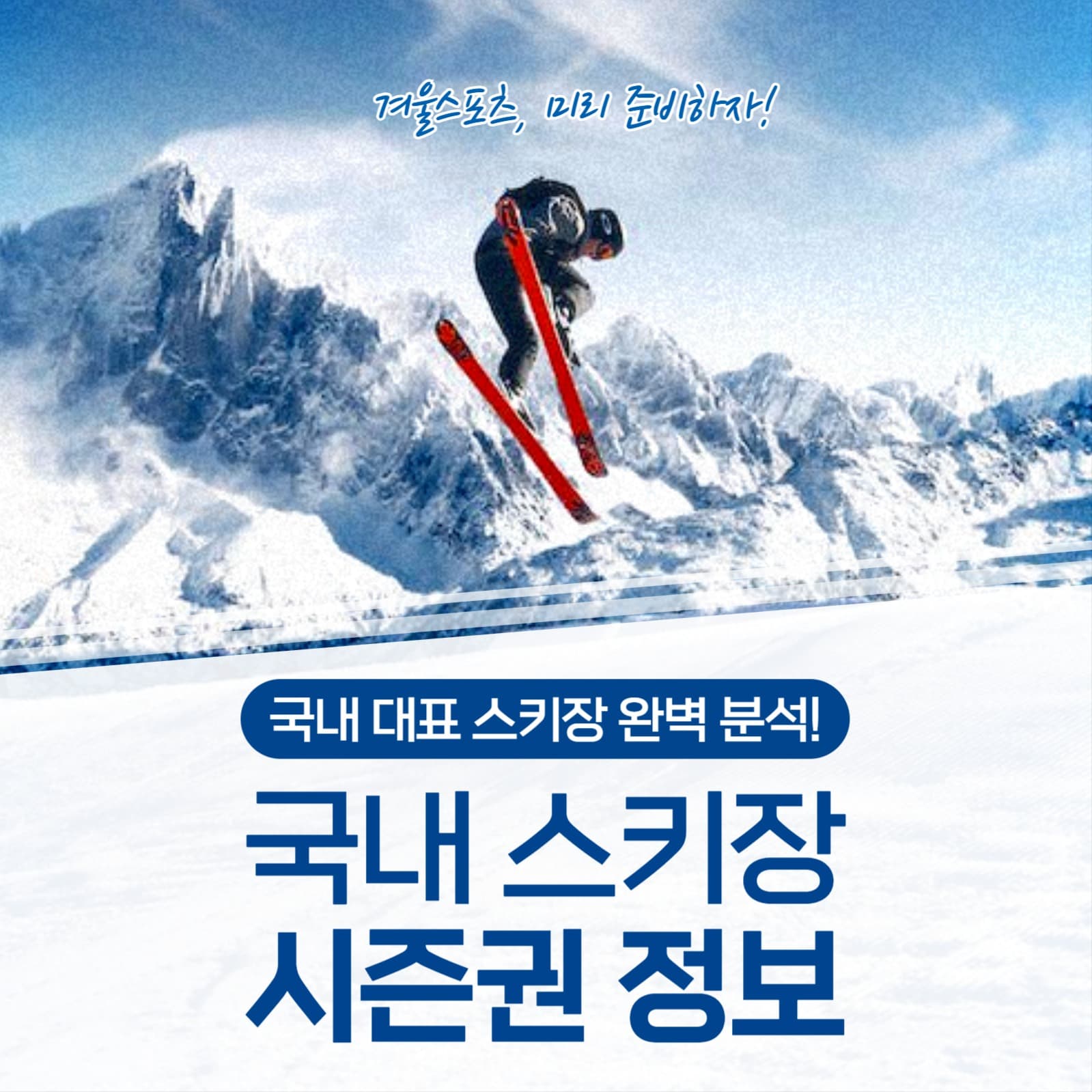 국내 스키장 시즌권 정보