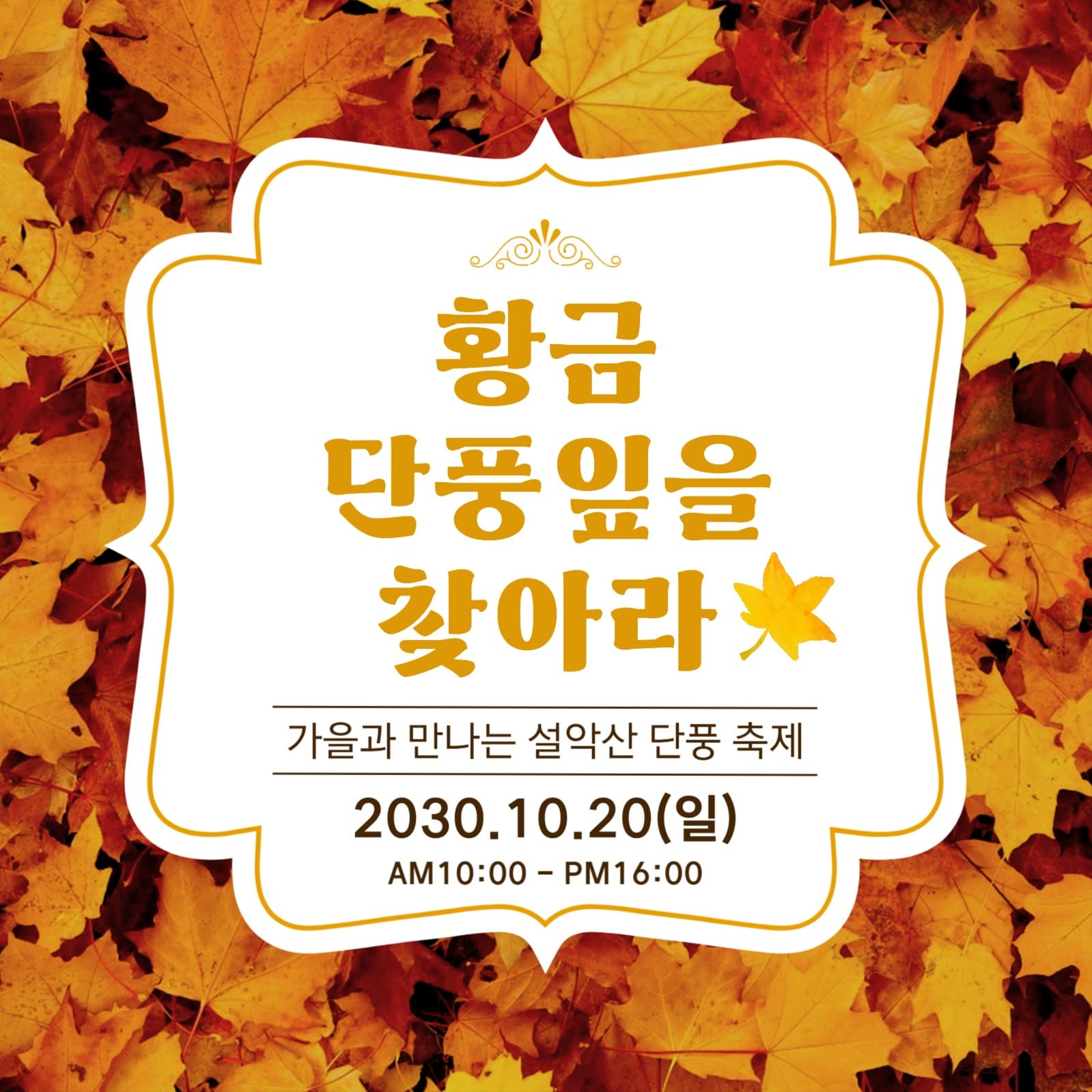 가을 할인 이벤트