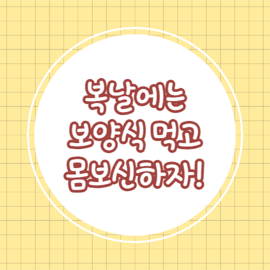 추천 복날 보양식 (카드뉴스)