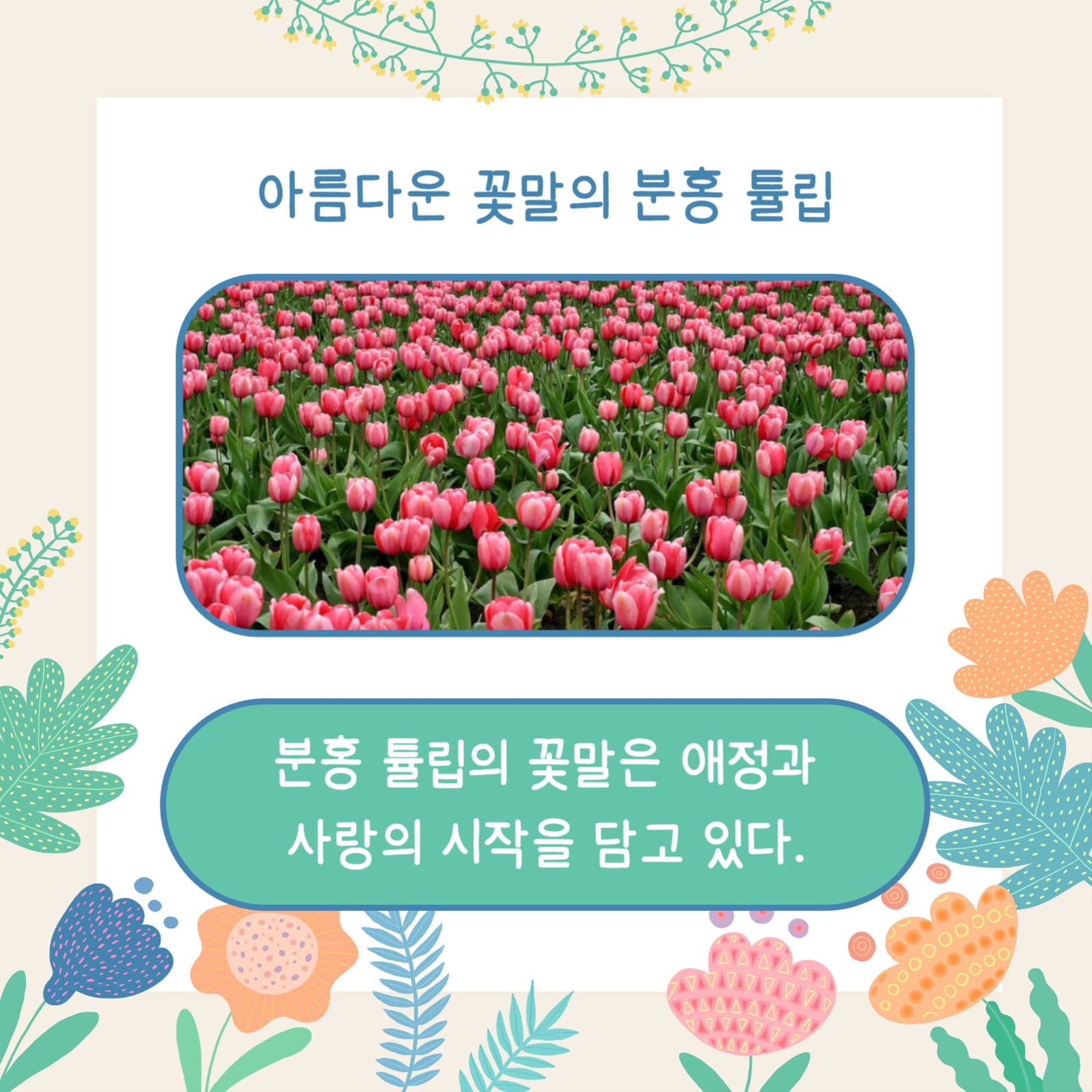 꽃말 예쁜 꽃 (카드뉴스)