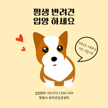 반려동물 입양 센터