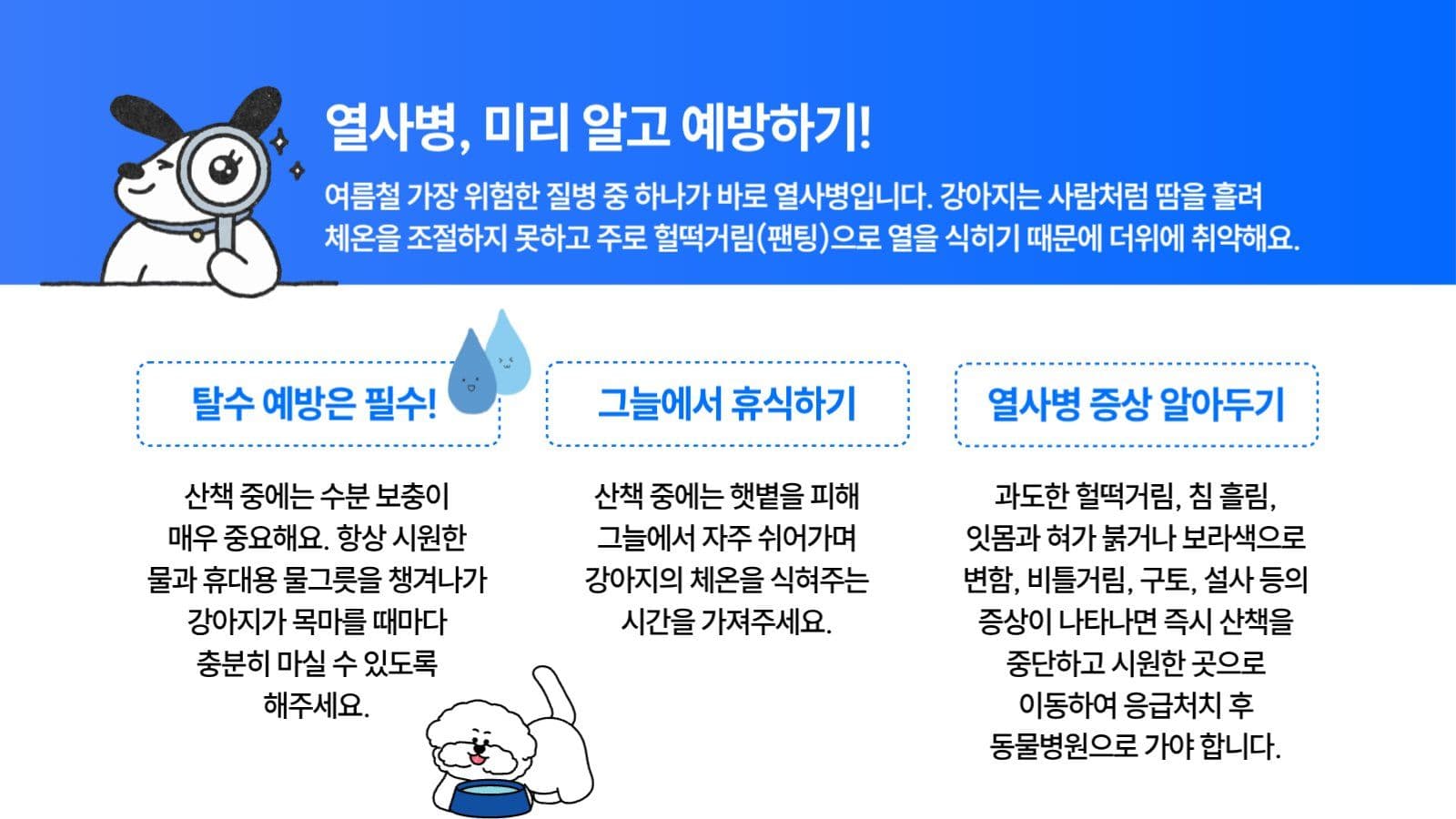 강아지 여름산책 주의사항
