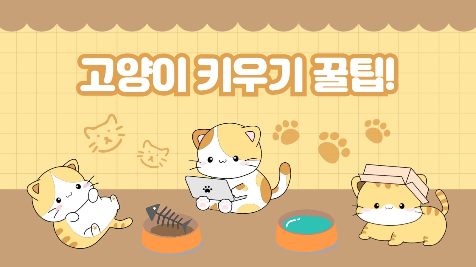 고양이 키우기 꿀팁 유튜브