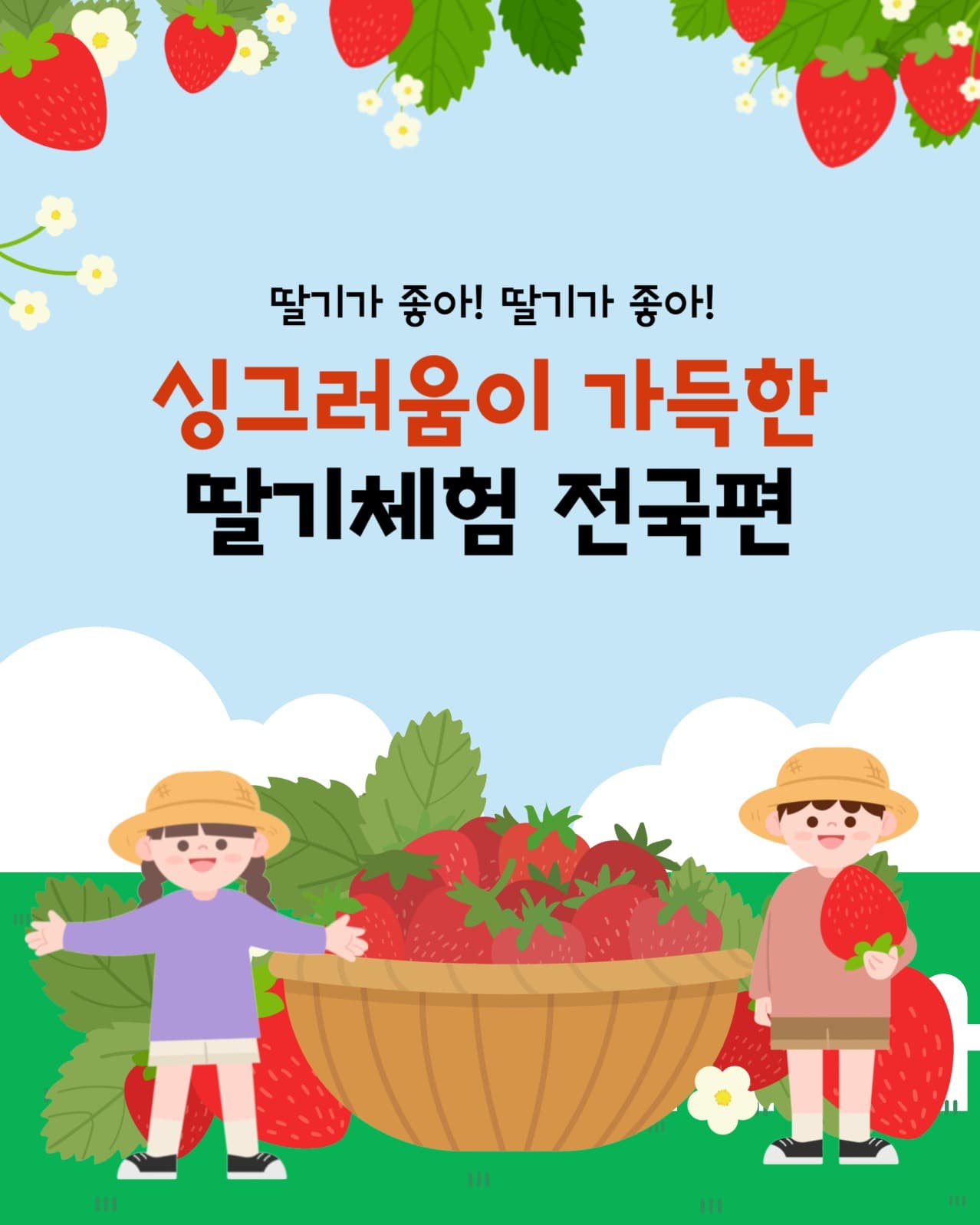딸기체험 전국편
