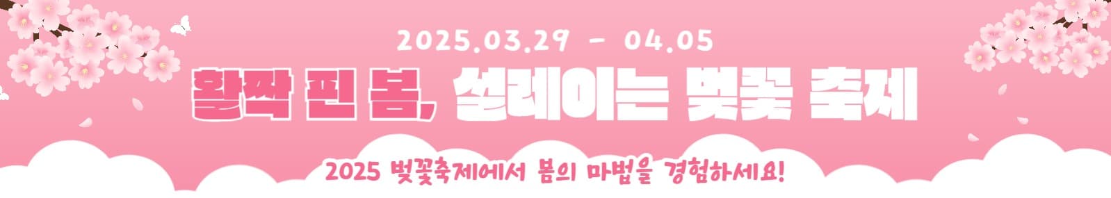 활짝 핀 봄, 벚꽃 축제