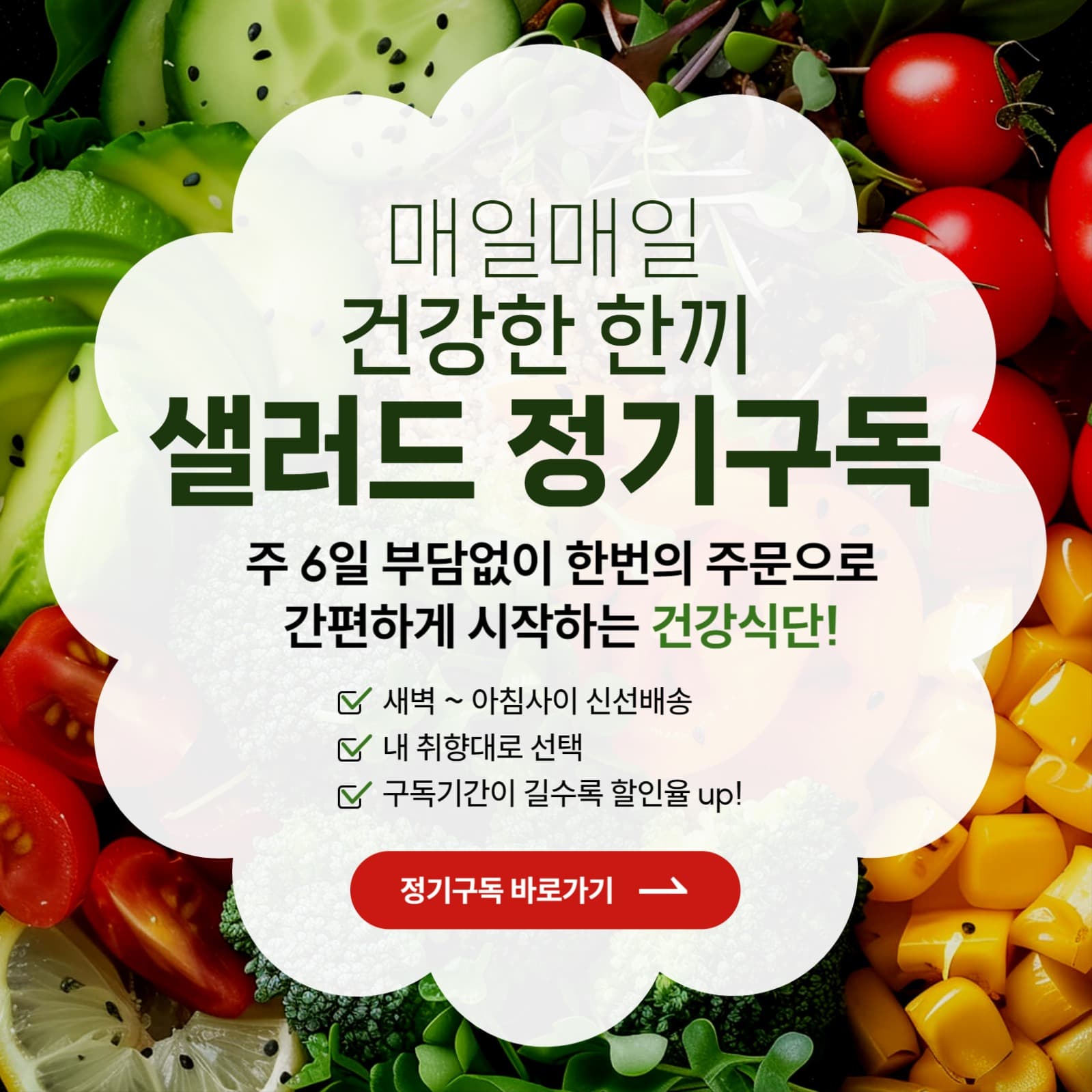 샐러드 구독1