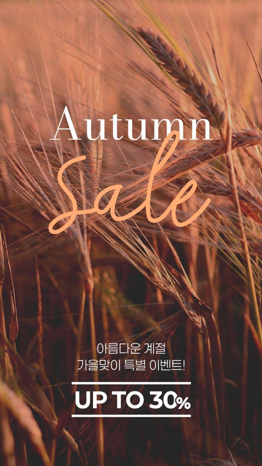 가을 세일 게시물