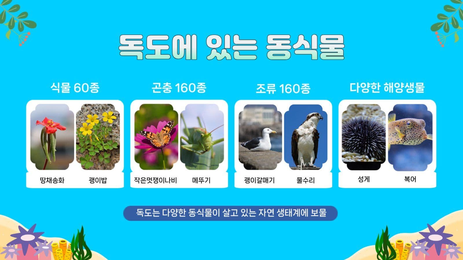 독도