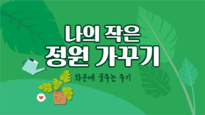 화분에 물주는 주기 유튜브