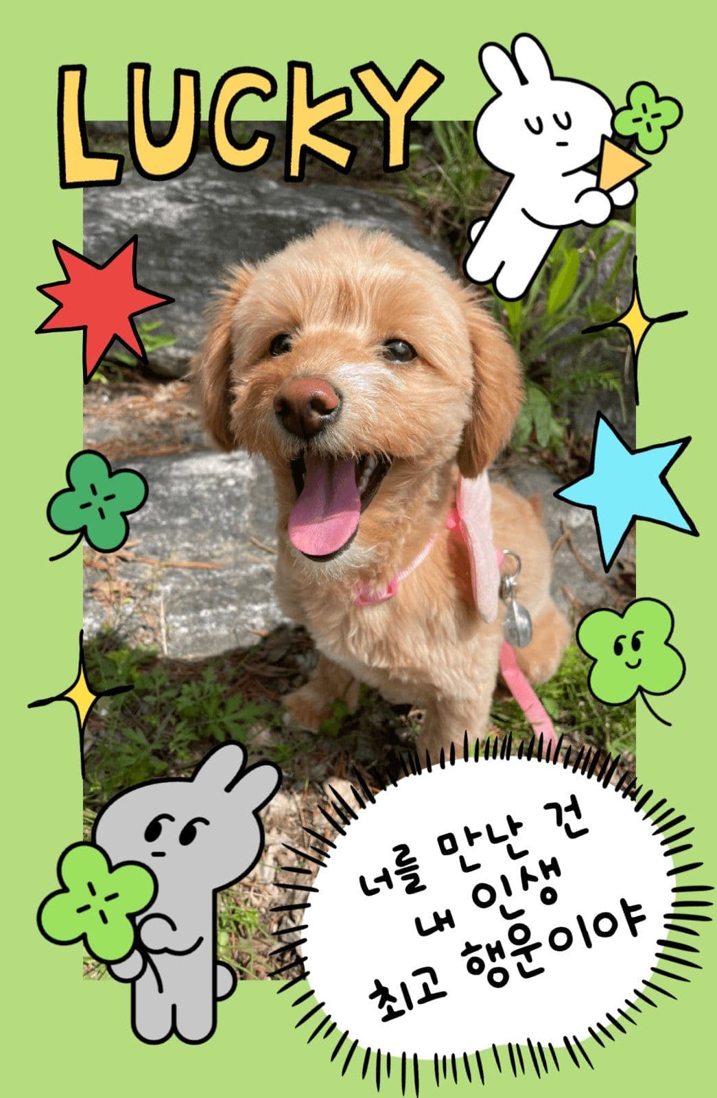 행운 가득 포토카드
