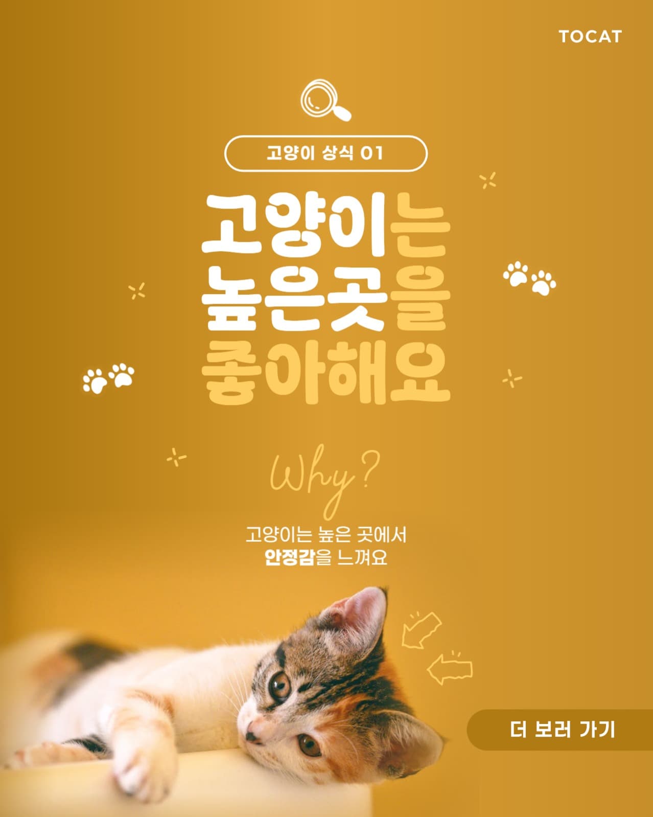 고양이 상식 배너
