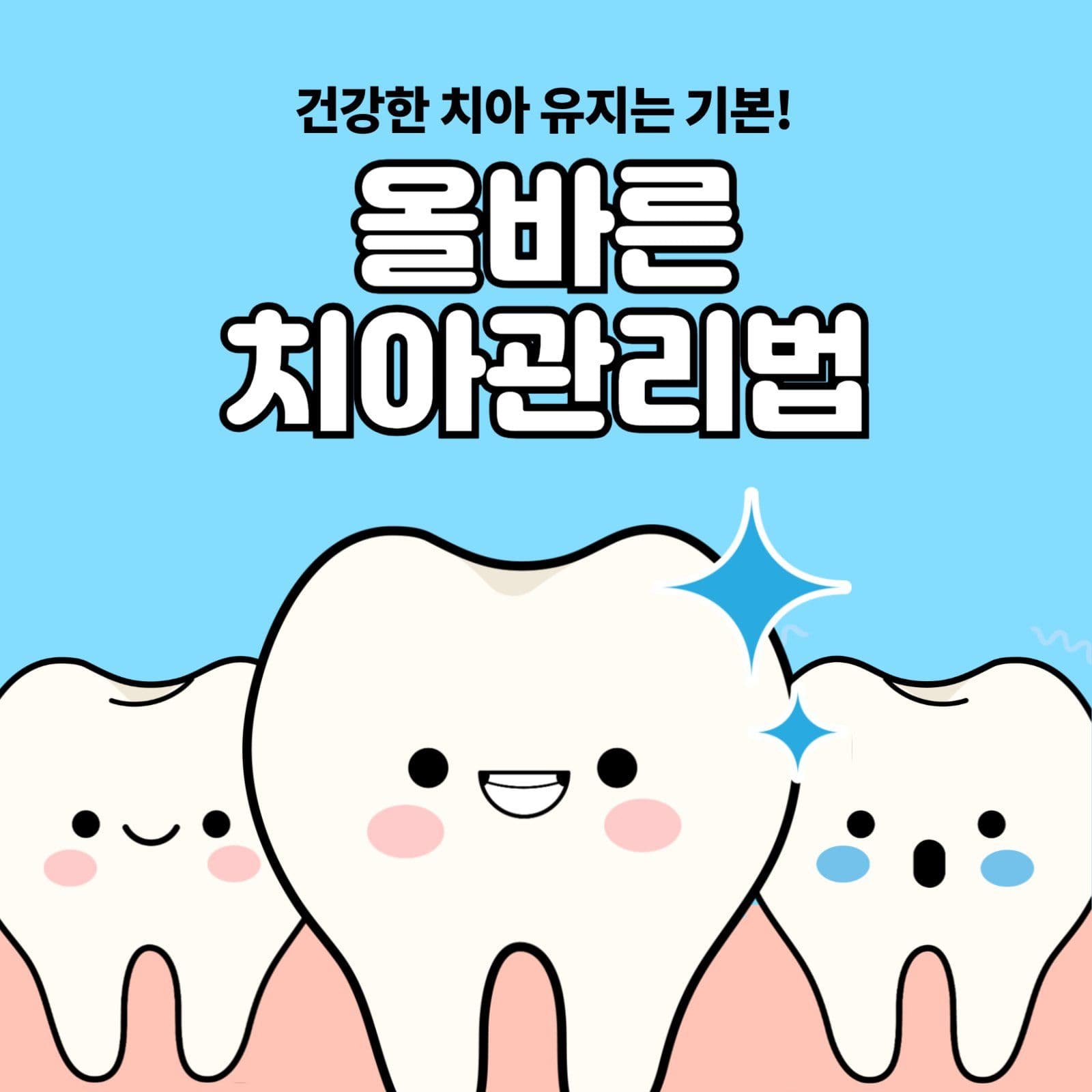 치아관리법