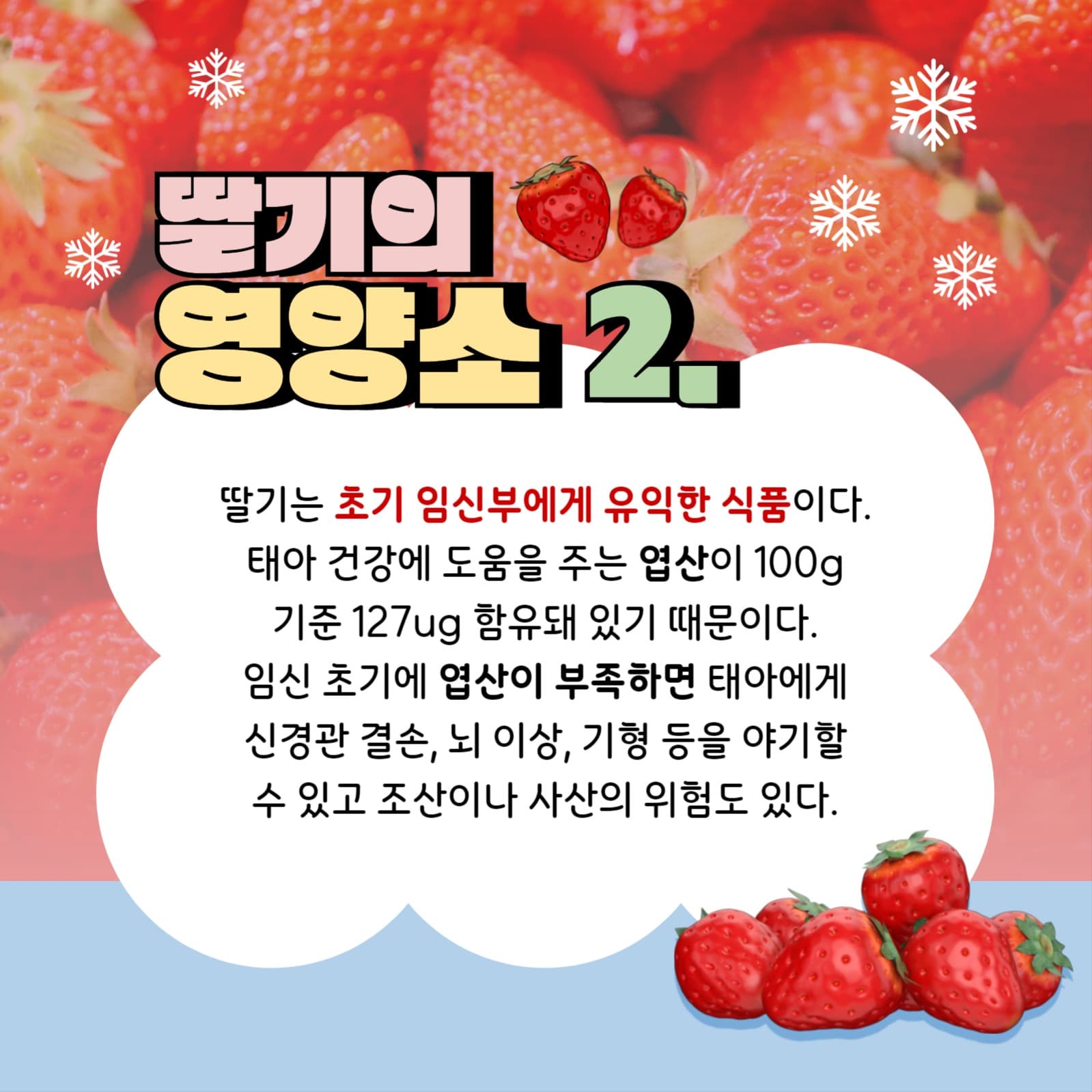 겨울 딸기 템플릿