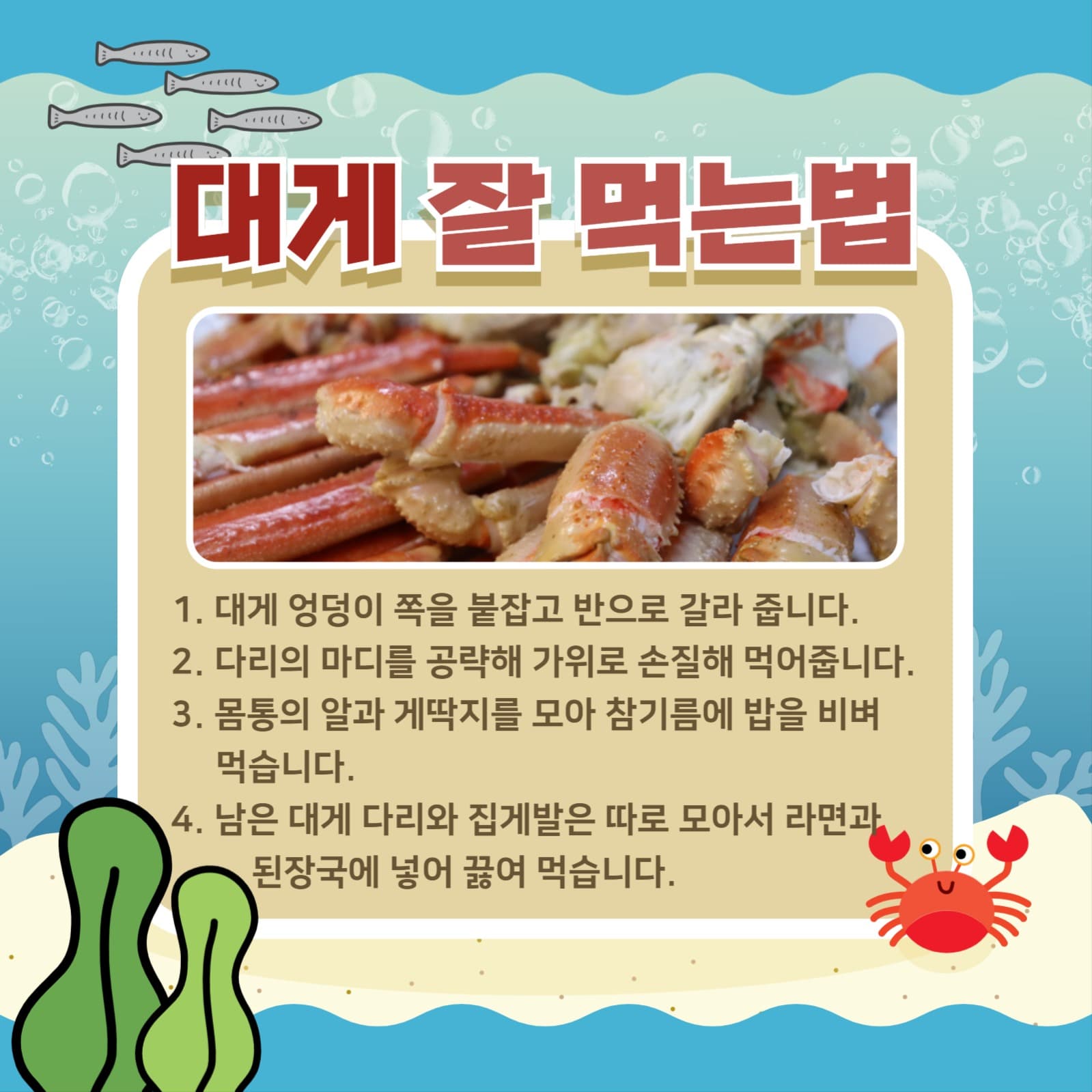 대게에 대해 알아보기