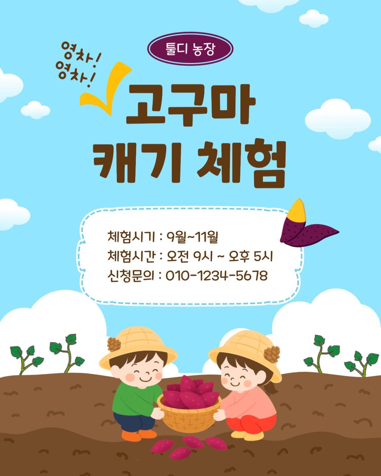 고구마캐기체험