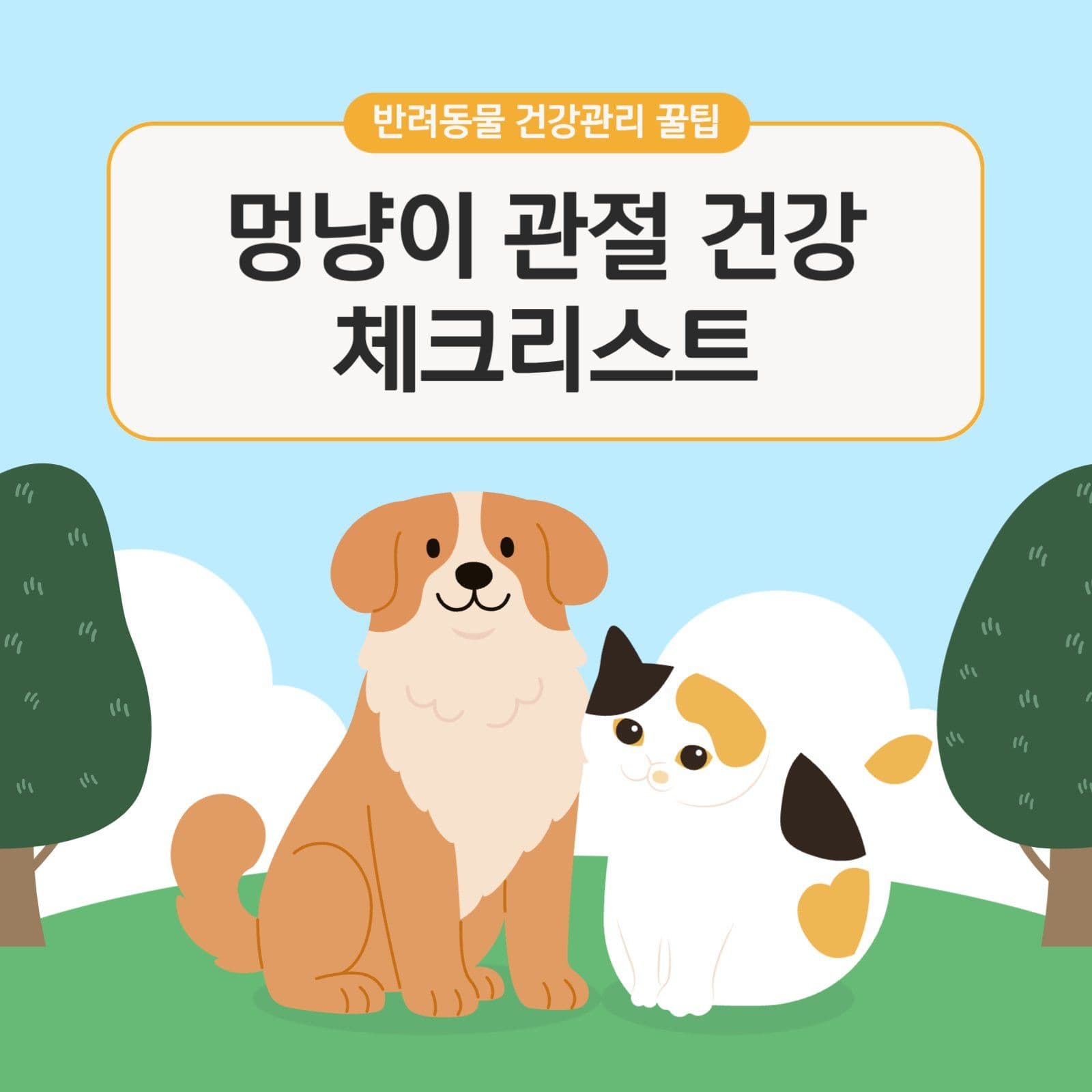 멍냥이 관절건강 체크리스트