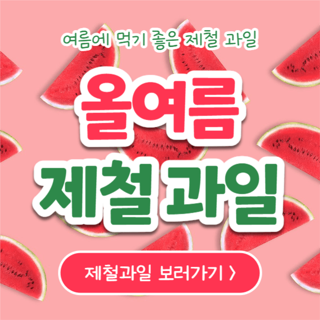 올여름 제철과일 (인스타)