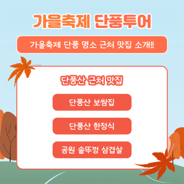 가을축제 단풍투어 (카드뉴스)