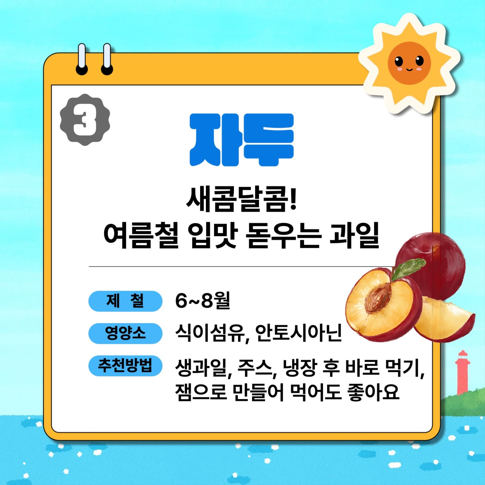 여름제철과일 6가지