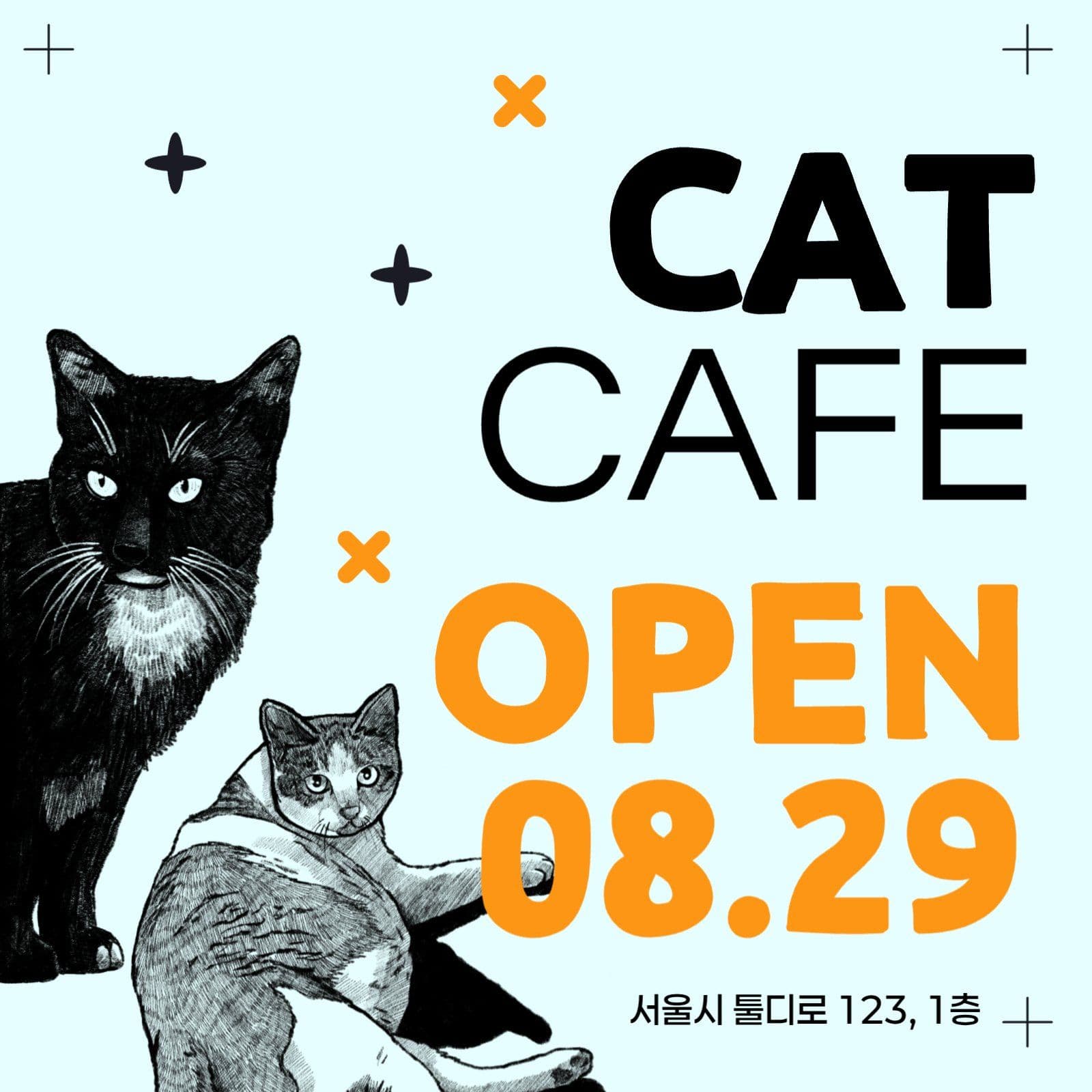 고양이 카페 오픈 홍보