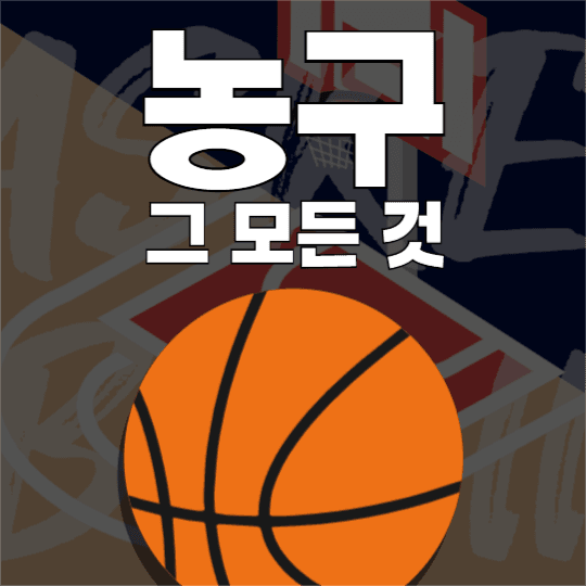 농구 관련 피드