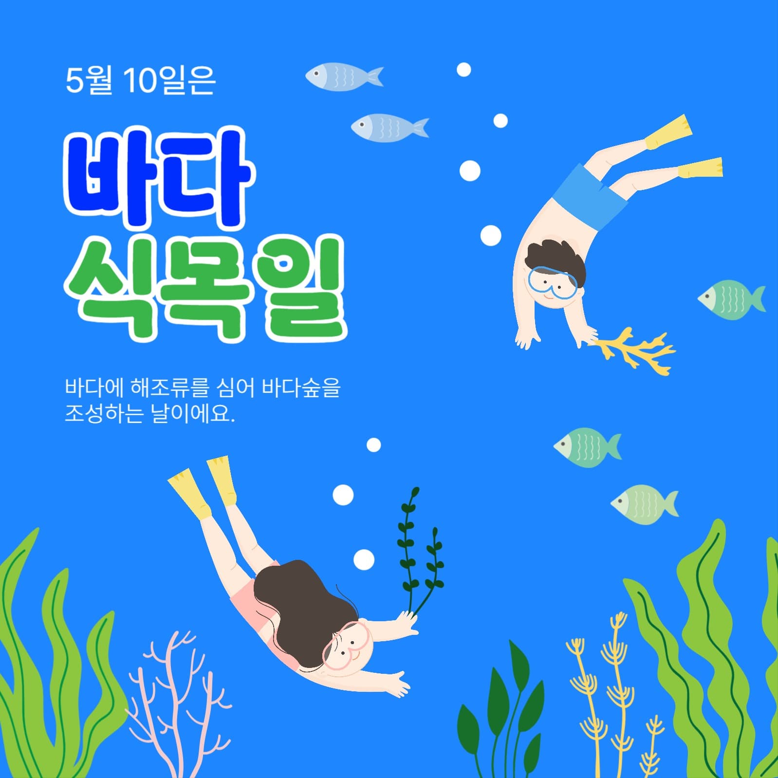 5월10일은바다식목일