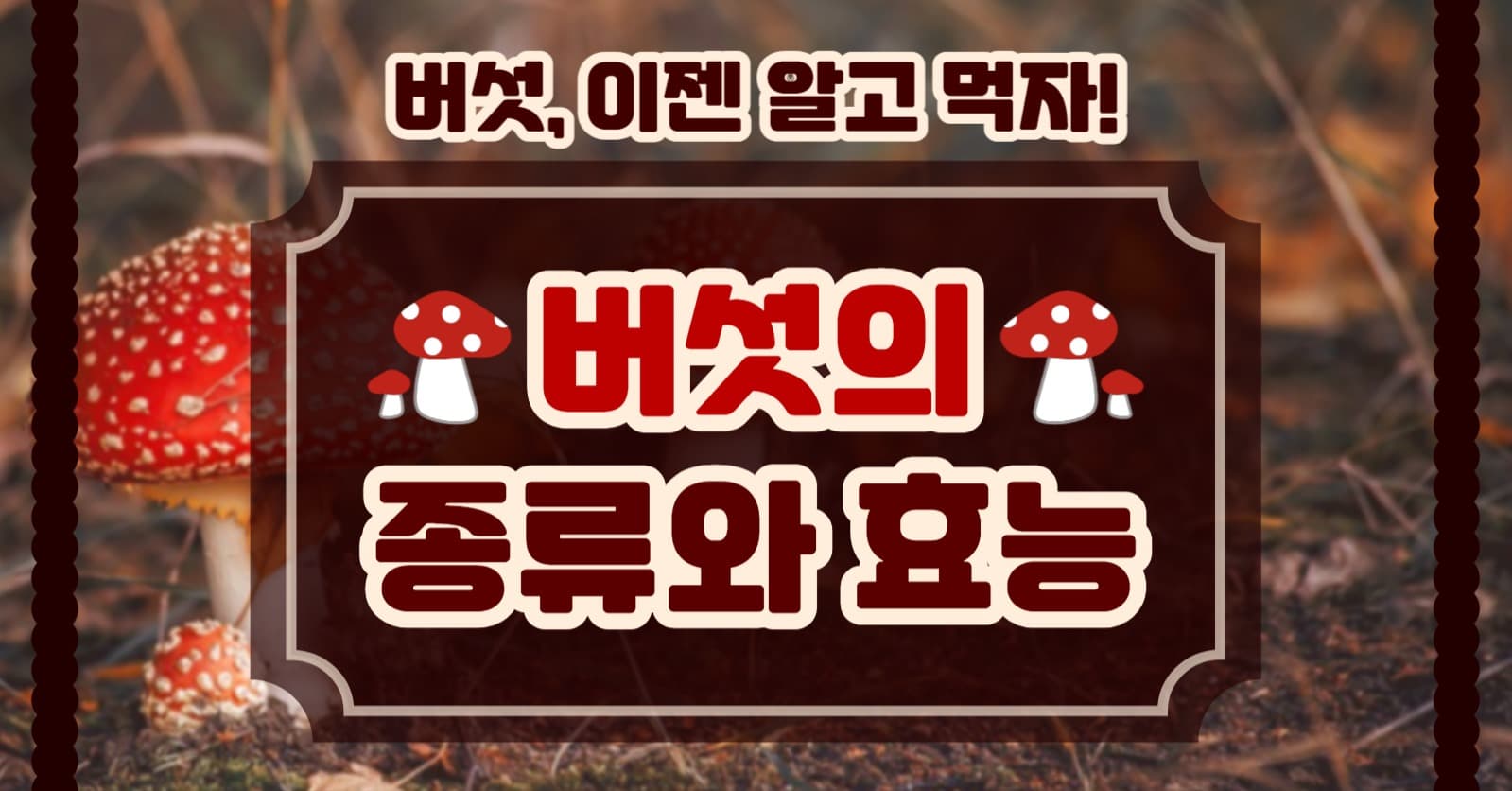 버섯의 종류와 효능 인스타(가로)