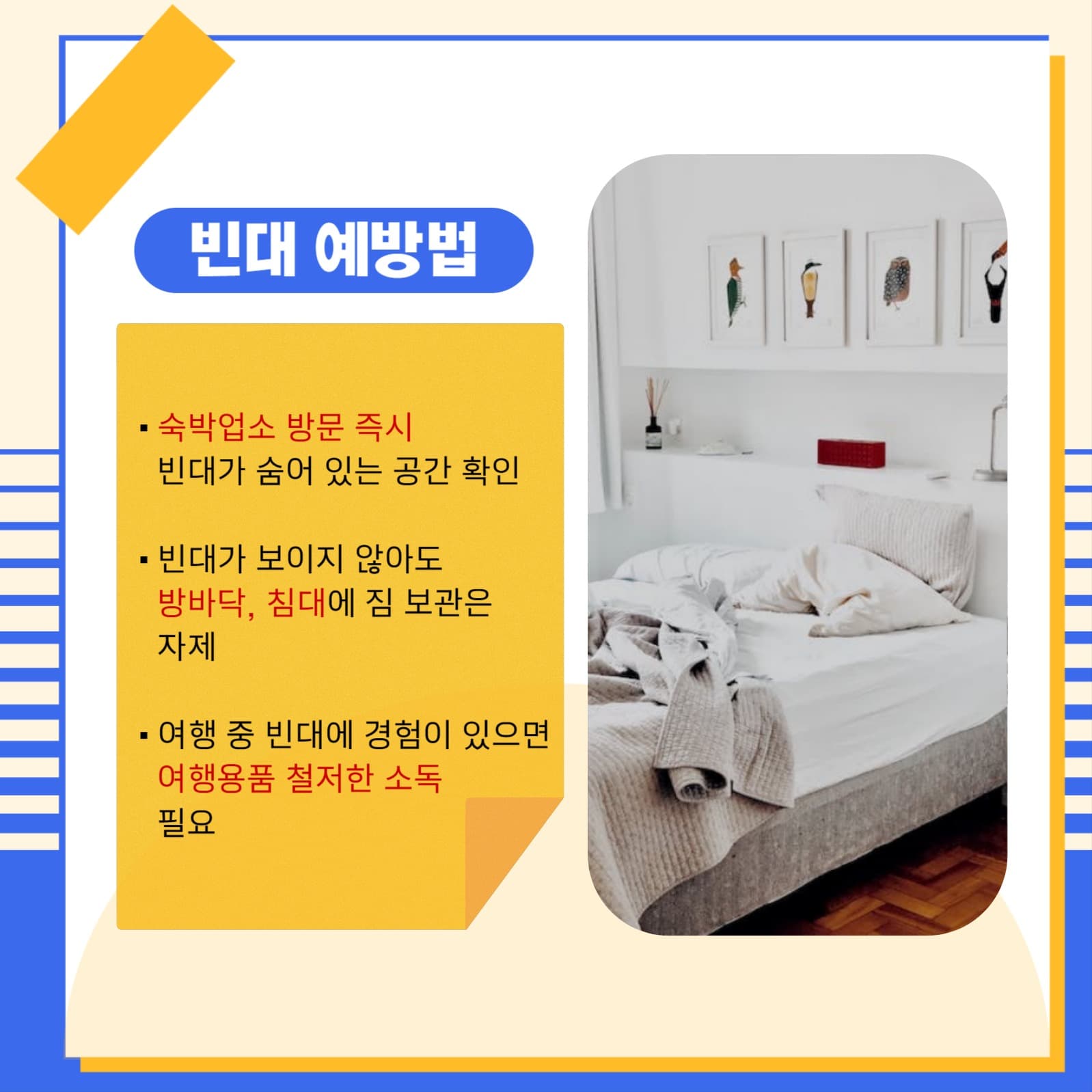 빈대 예방 꿀팁 대방출 카드뉴스