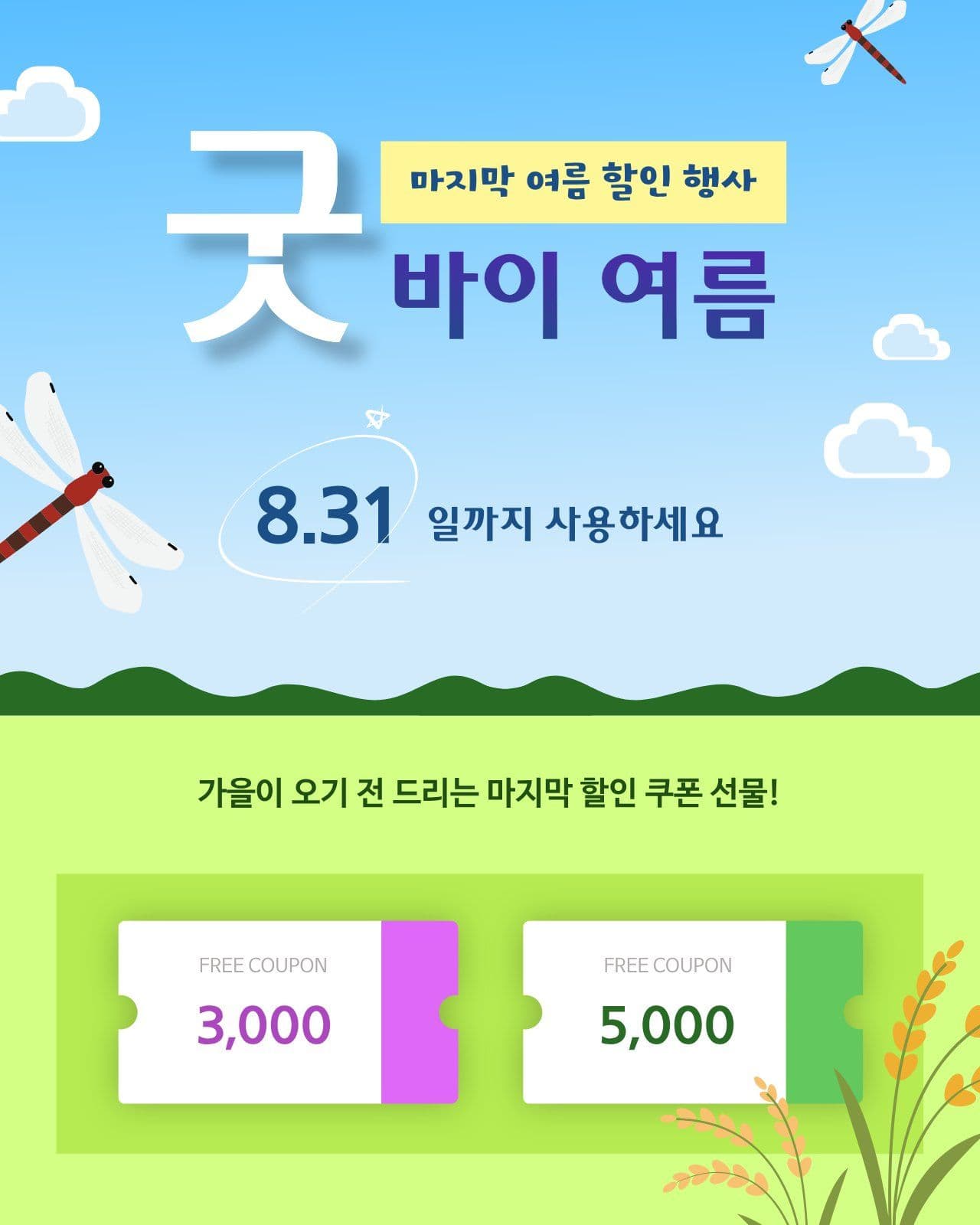 막바지 여름 할인 쿠폰 선물 sns
