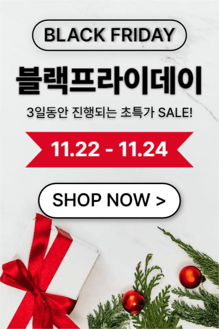 블랙프라이데이 (페북)