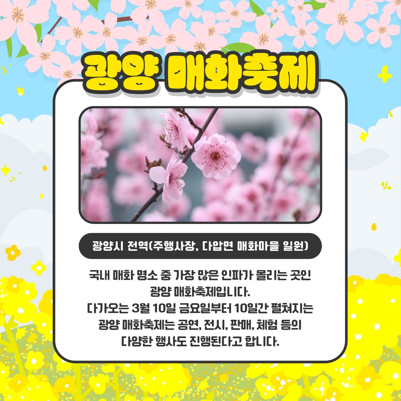 봄 나들이