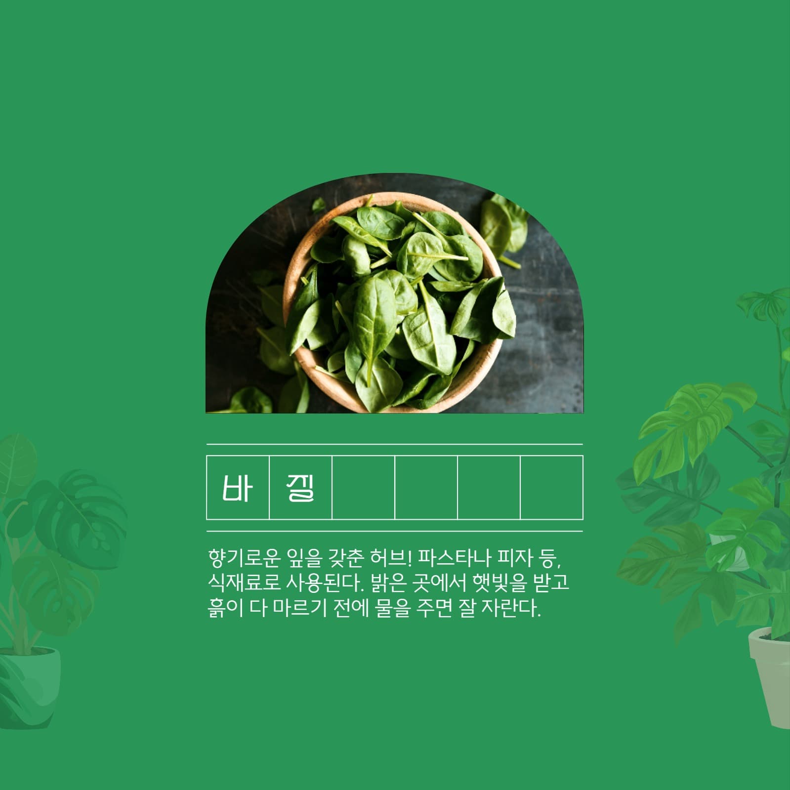 식목일 기념 카드뉴스