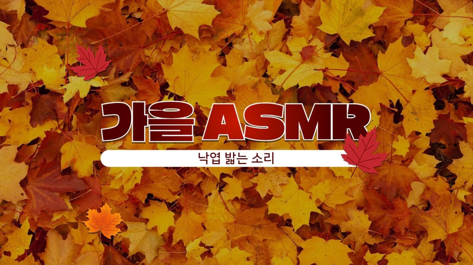 가을 ASMR 섬네일
