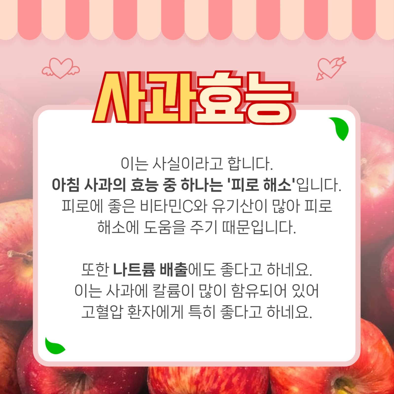 사과 템플릿