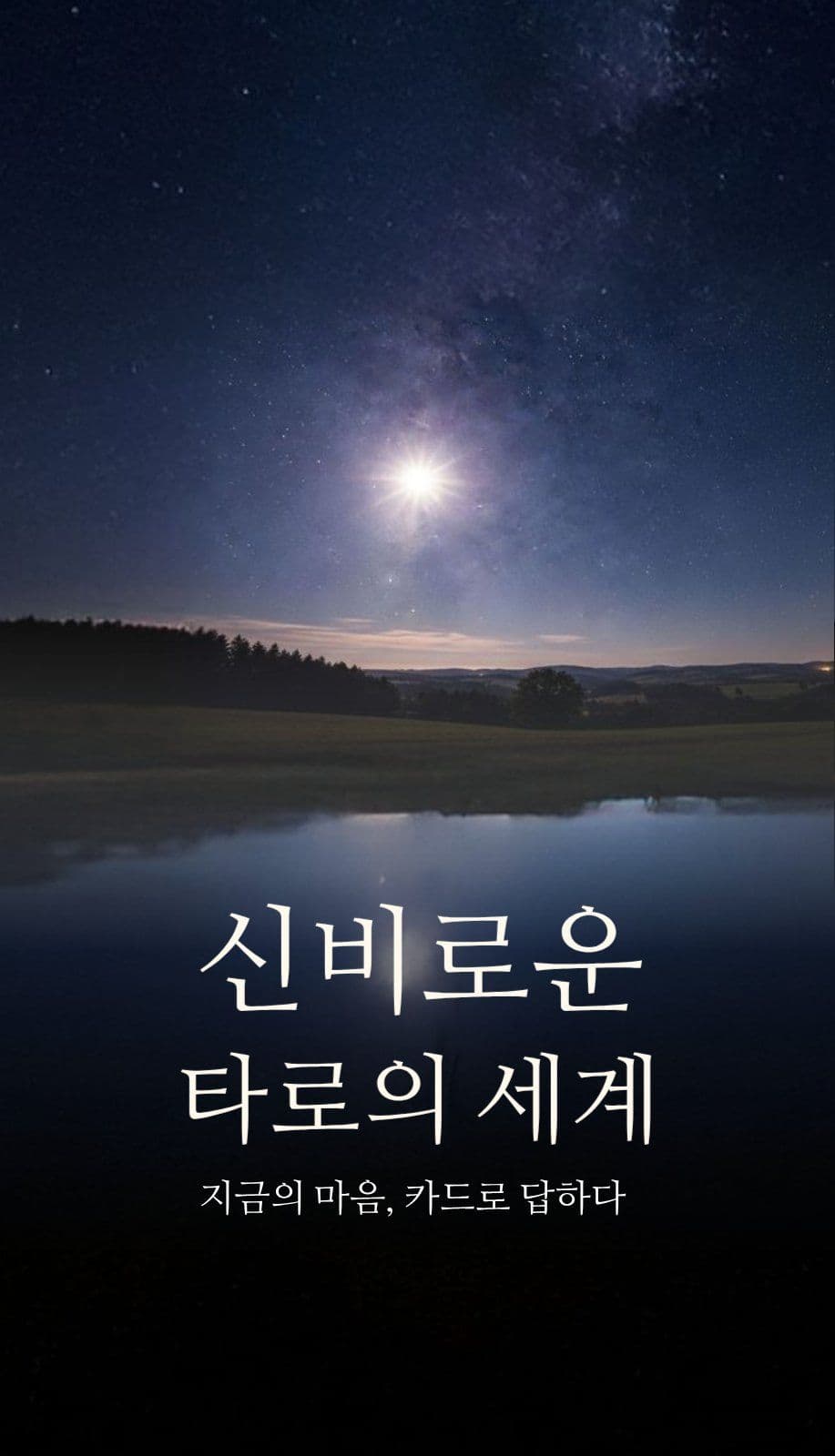 타로카드 명함