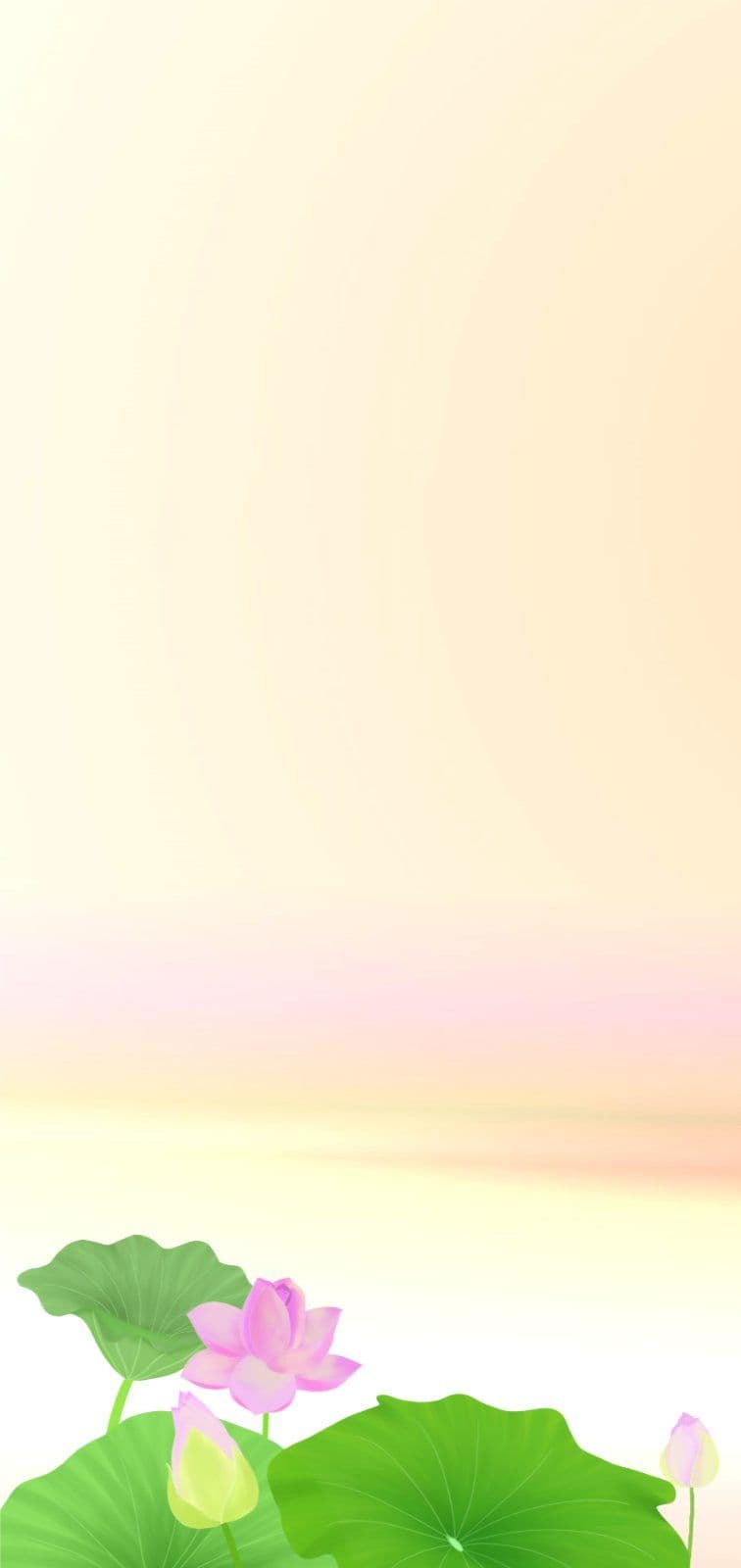 노을빛 물든 연꽃정원 배경 Wallpaper Templates