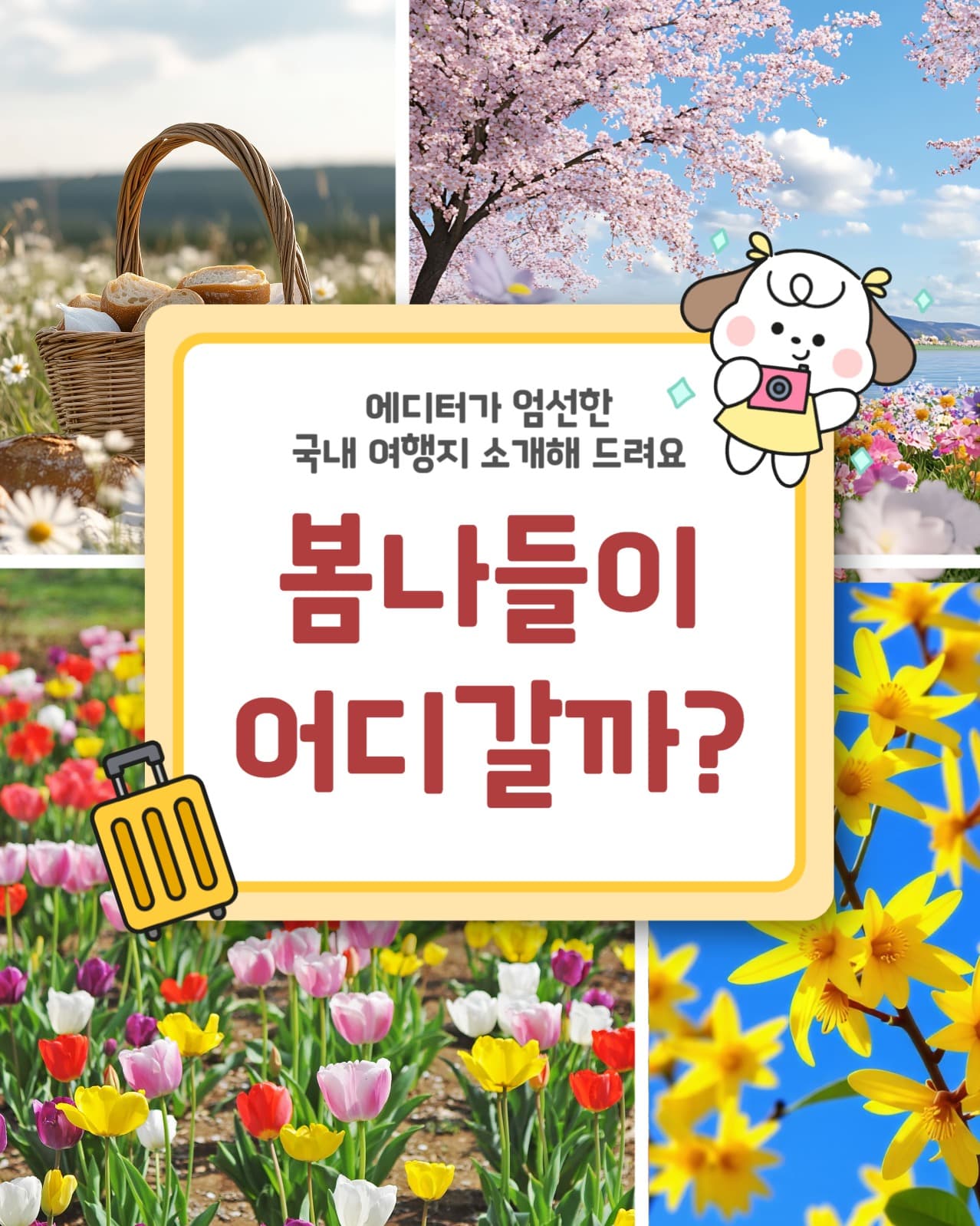 국내 봄 여행지