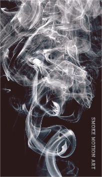 smoke motion art 명함
