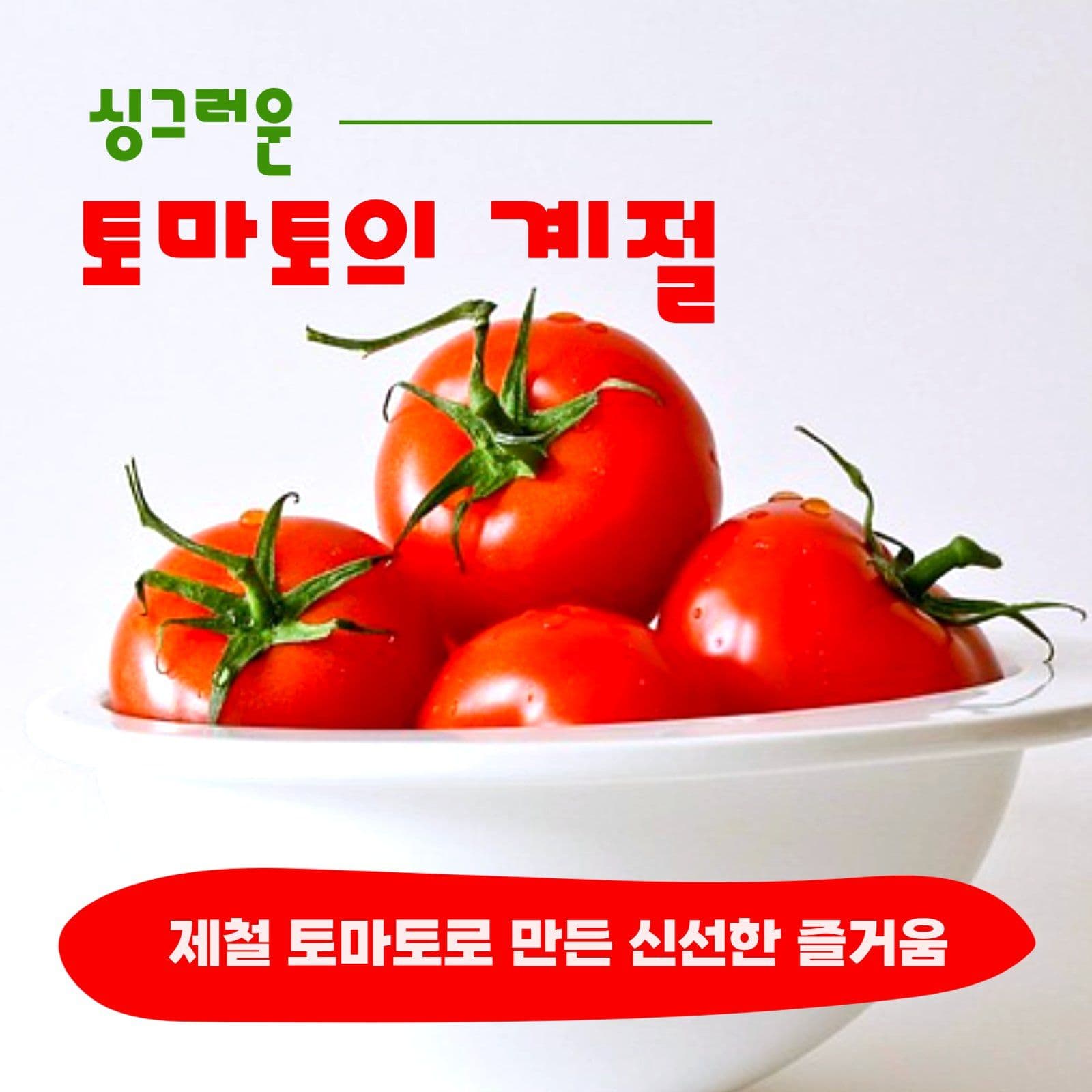 싱그러운 토마토의 계절