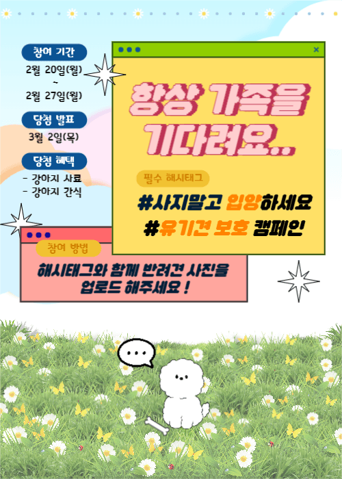유기견 보호 캠페인 