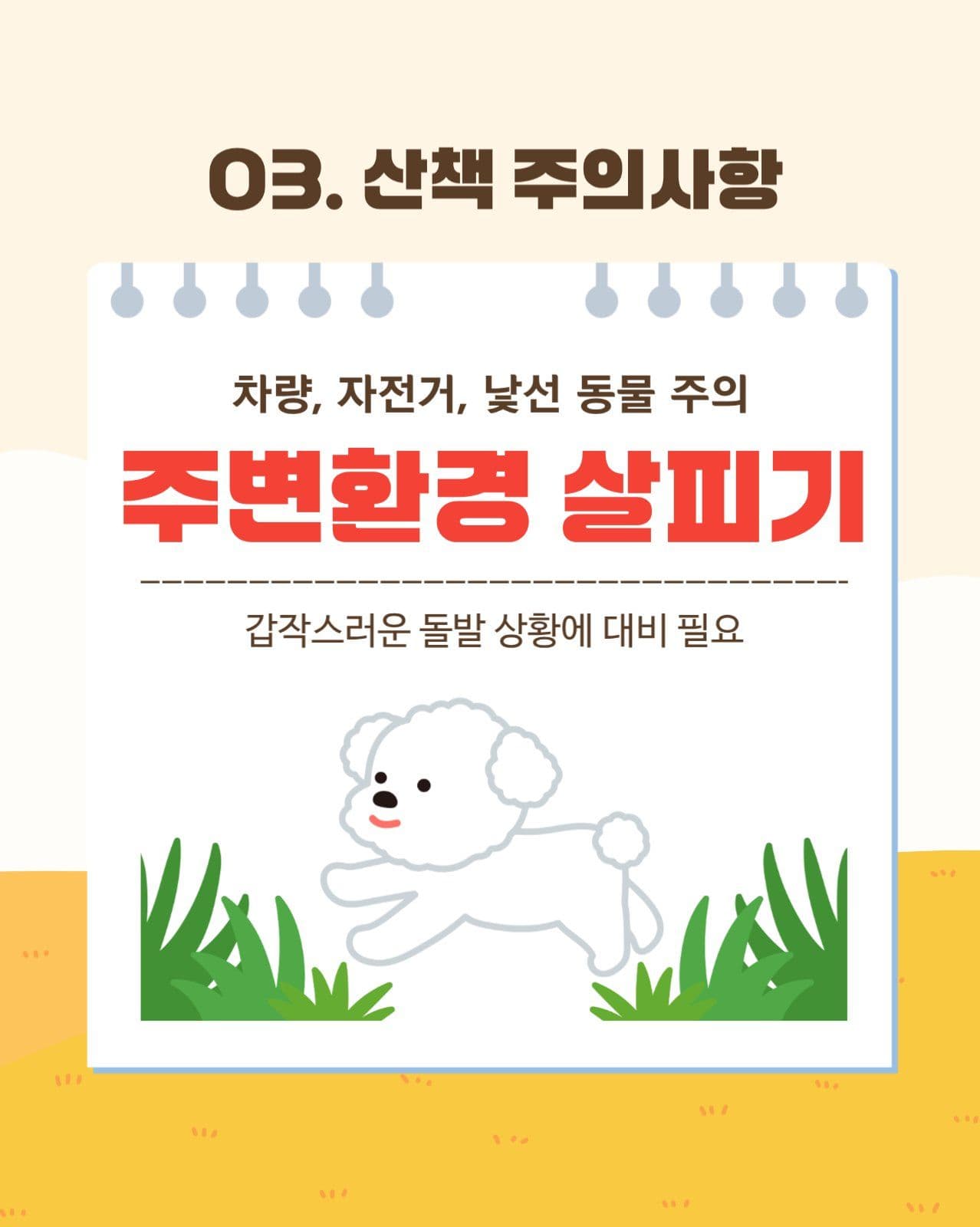 귀여운 반려견 산책 주의사항 카드뉴스