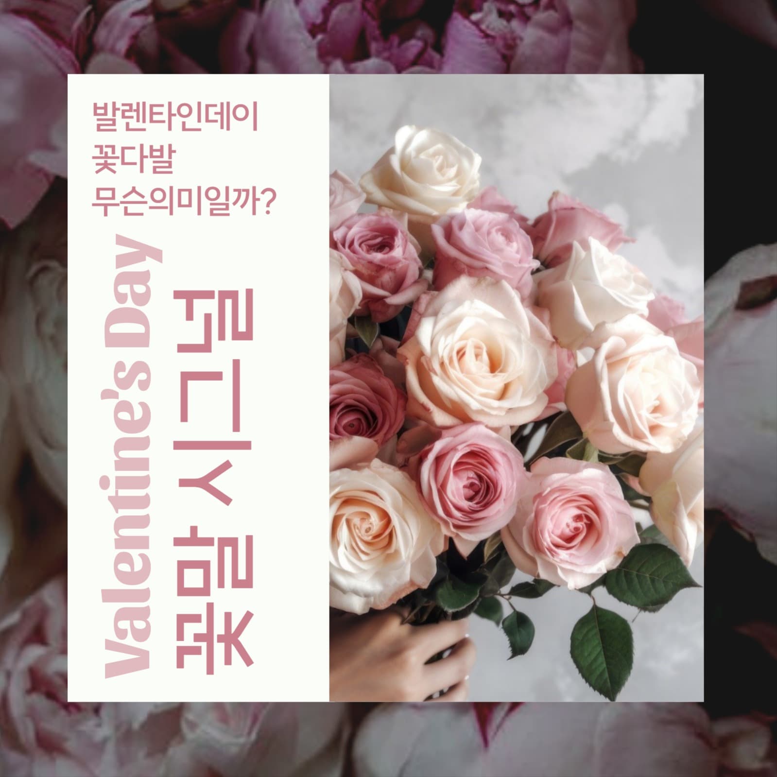 발렌타인데이 꽃말 시그널
