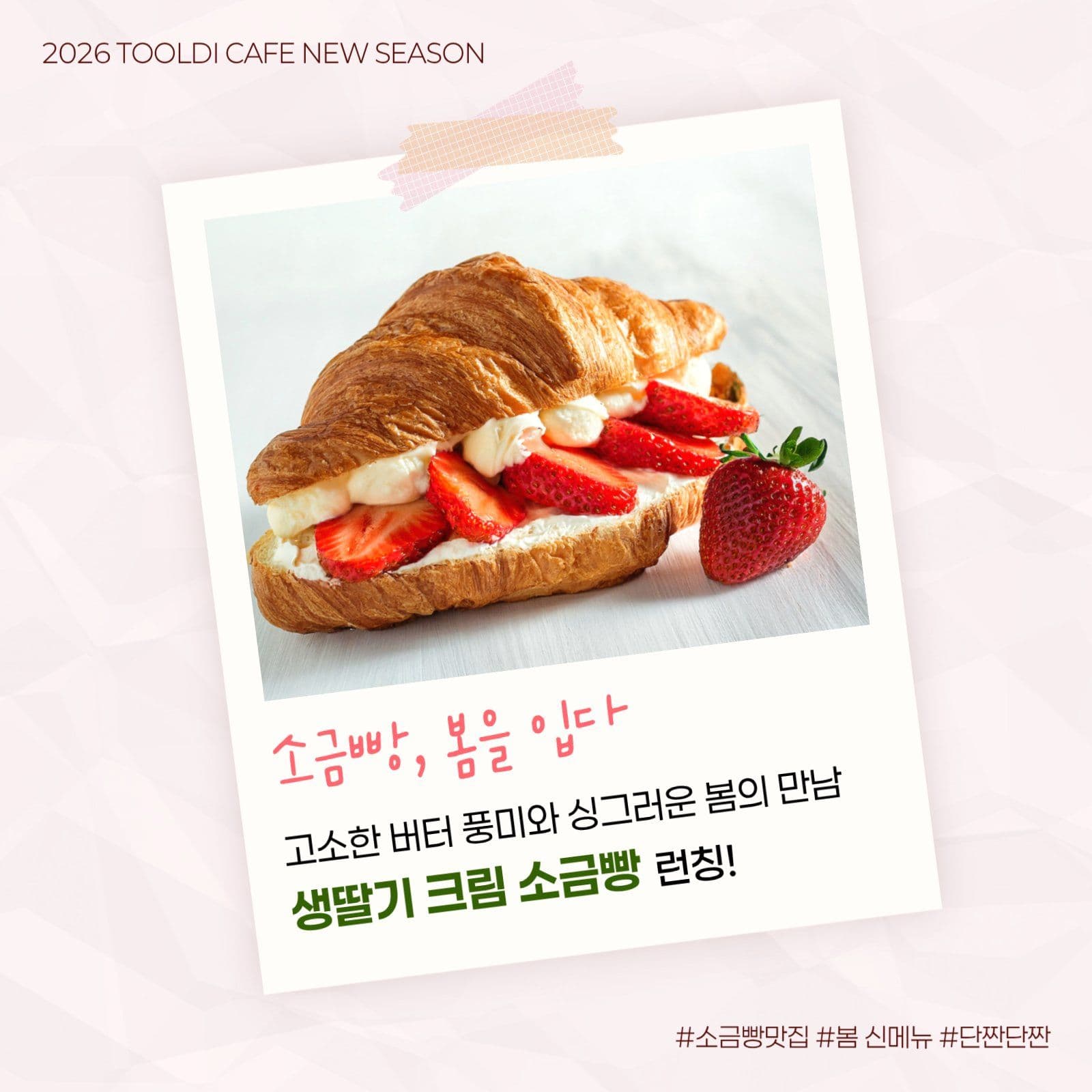 핑크 베이커리 카페 신메뉴 출시 안내