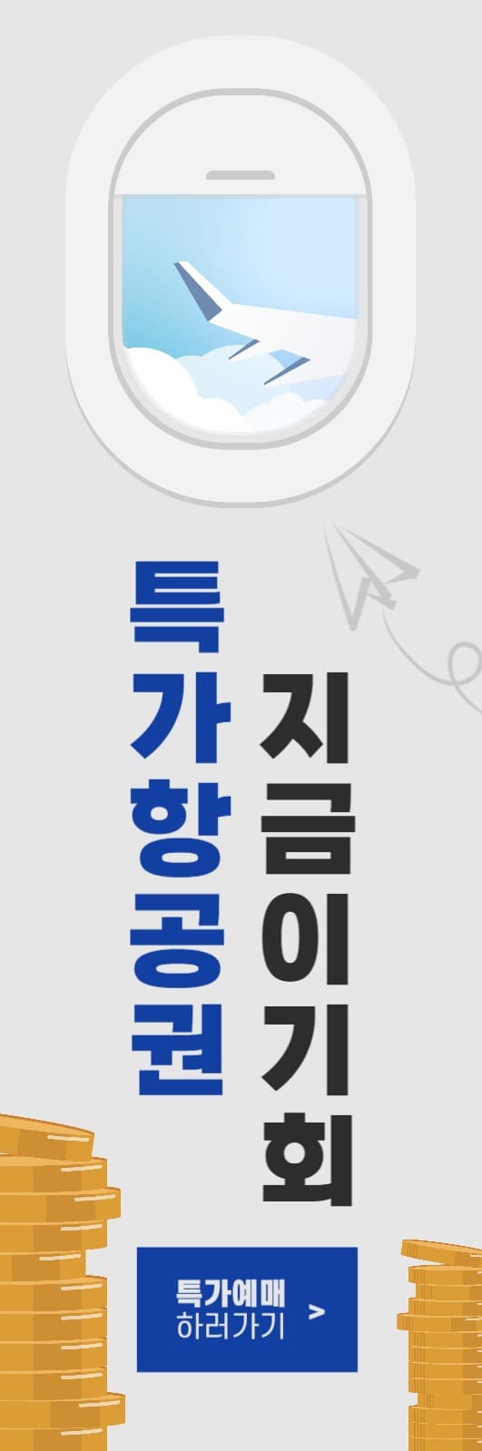 특가항공권 예매