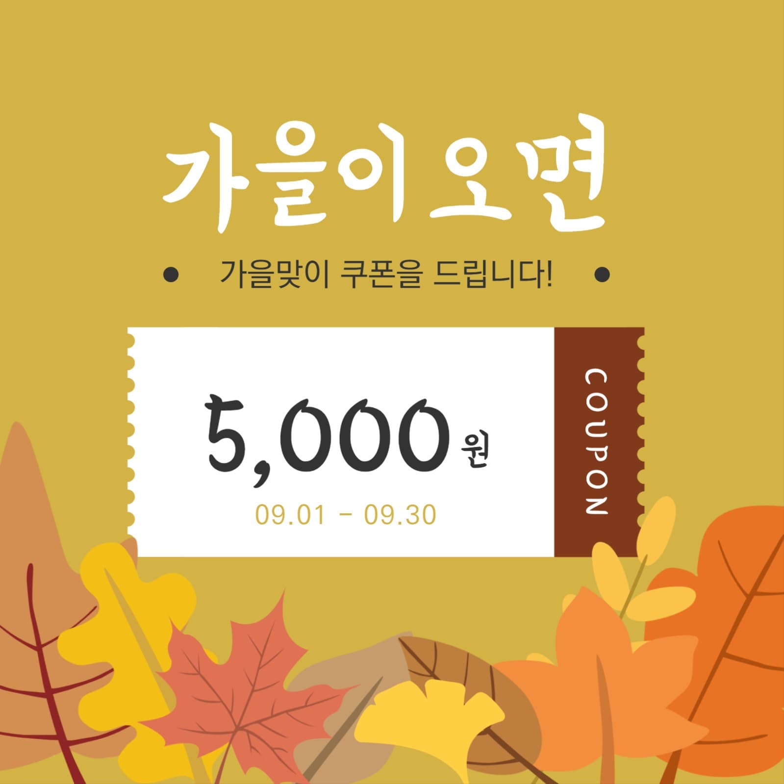 가을 쿠폰이벤트