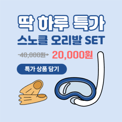 스노클링 오리발 세트 대여 인스타