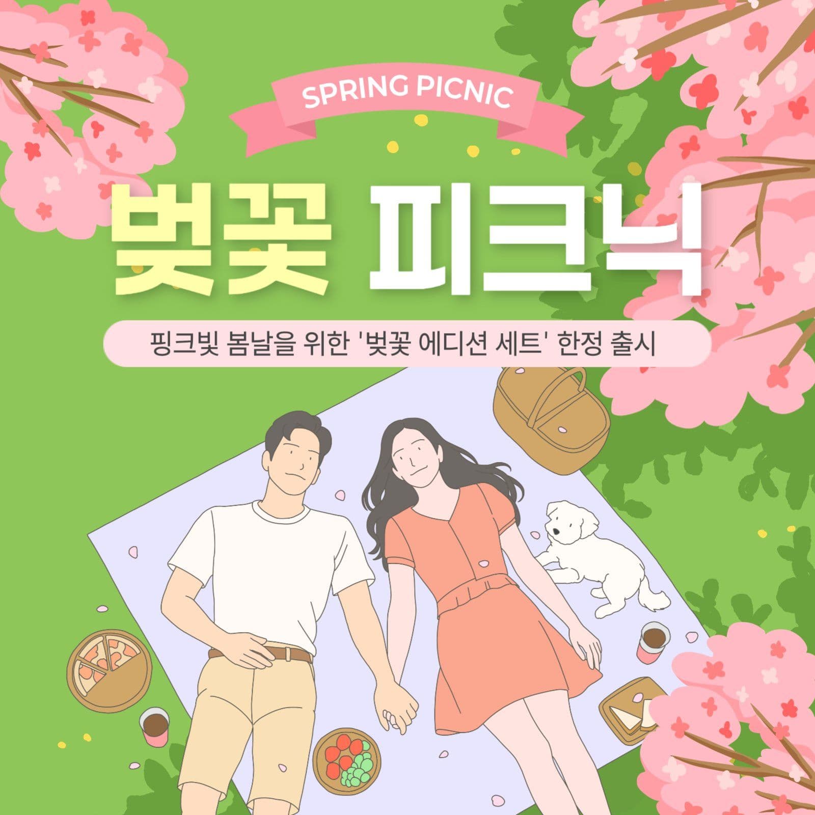 벚꽃피크닉