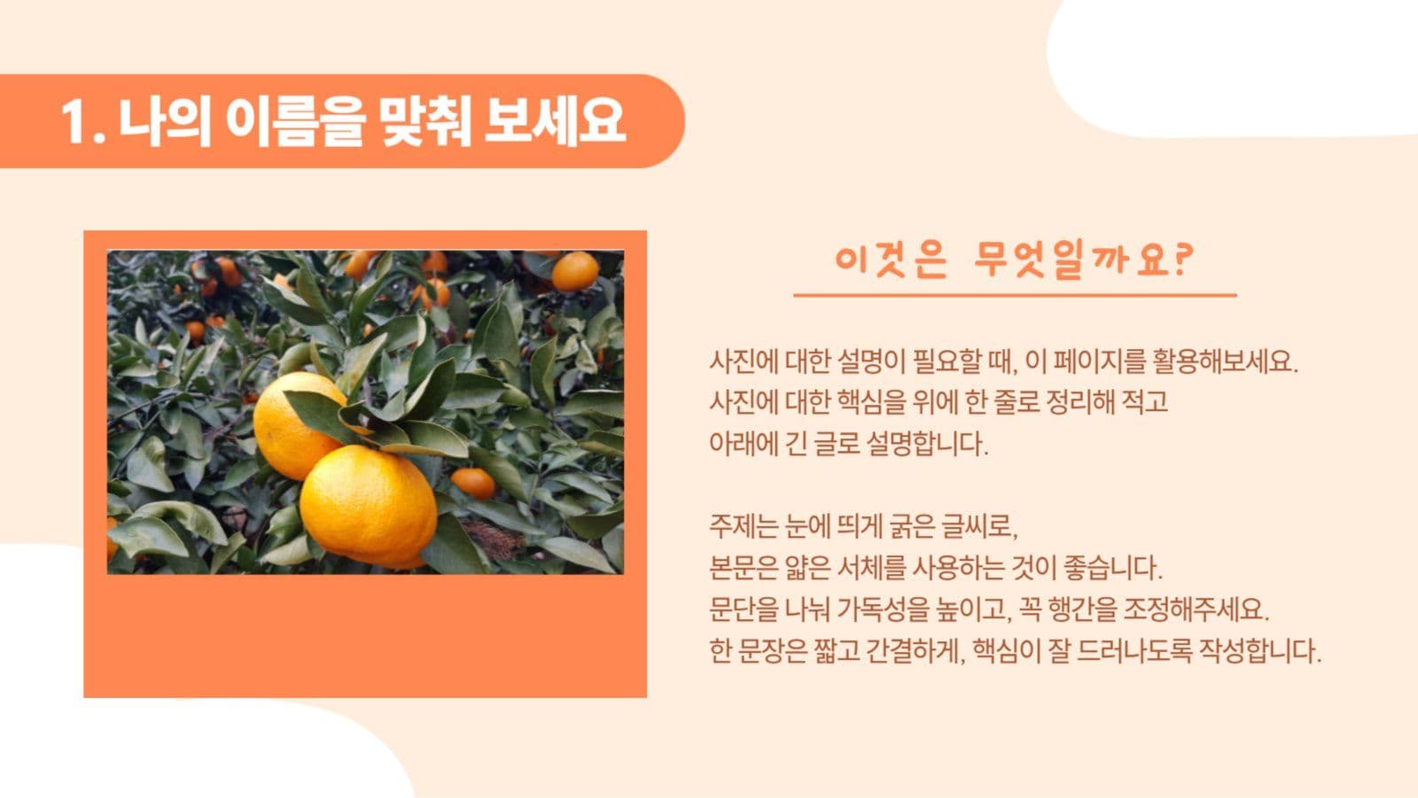 주황색 귀여운 프레젠테이션